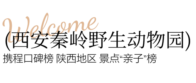 曲江这些地方入选重磅榜单！