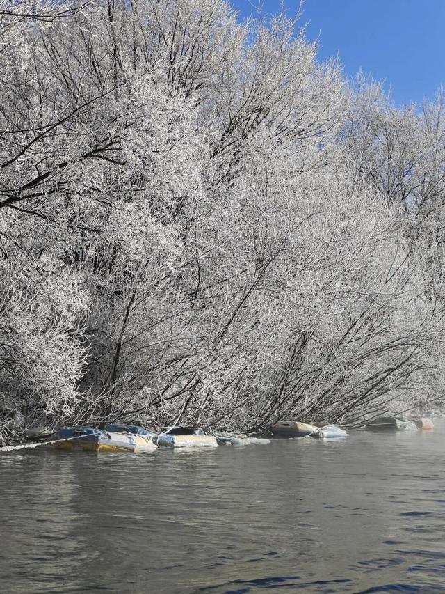 被央视聚焦9次的水色雾凇岛！绝！！