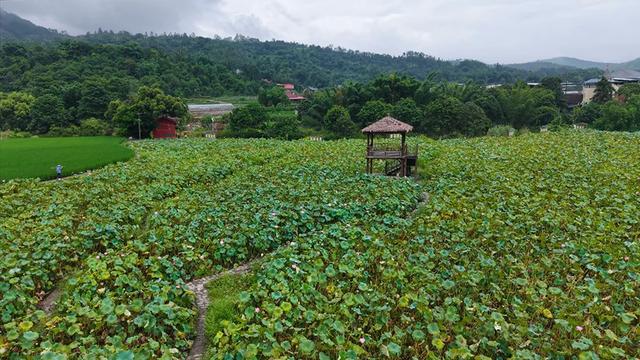 露营地+1，就在闽侯这个地方