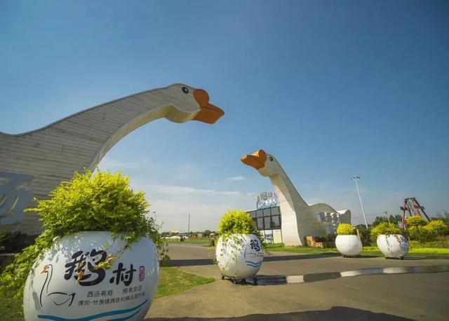 被萌到走不动道！常州邀你开启治愈之旅​