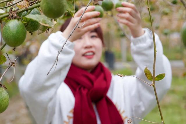 省级认证！清远这条宝藏遛娃线路入选
