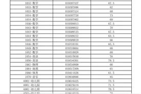 泰山区公告：教师招聘面试资格审查5月24日递补→图片