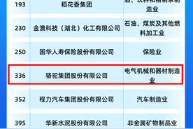 蝉联12载 骆驼蓄电池荣膺2024中国民企500强图片
