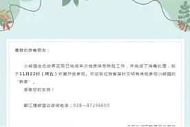熊猫谷：小熊猫生态放养区，拟于11月22日恢复开放图片
