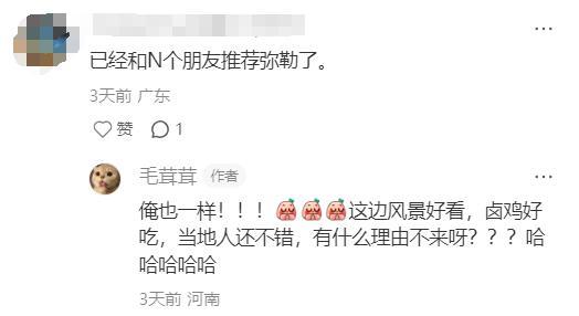 弥勒人被夸了！友好、耐心、善良、态度好...