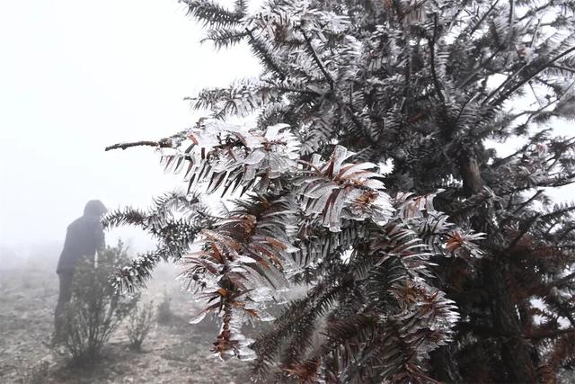 闽侯大湖雨凇美景“限时返场”