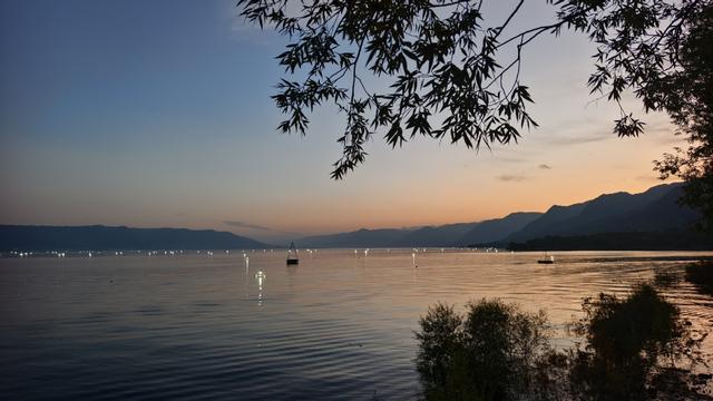 甘肃永靖：白日候鸟舞黄河 夜晚渔火映星河