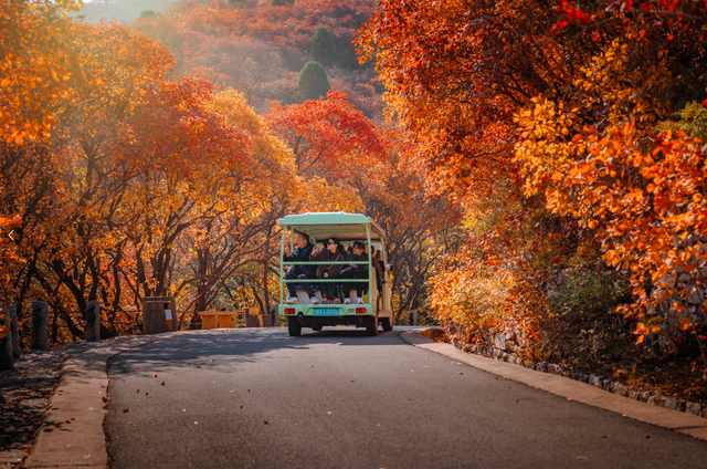 一步一景入画来！济南红叶谷的深秋藏着最治愈的诗意