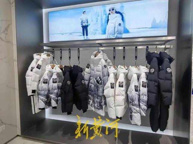 21年羽绒价格走势图 21年羽绒价格走势图最新