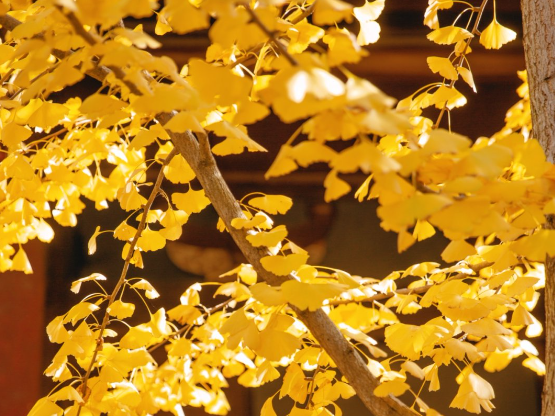 春节必去！网友严选！福建两地成爆款打卡地