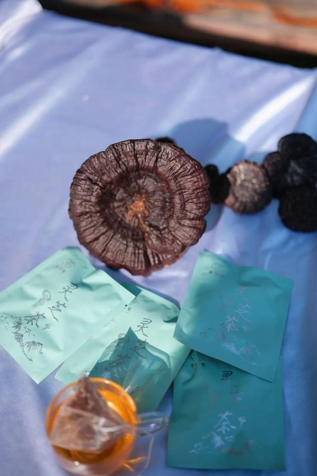 打卡龙岩这几地，随手拍都是秋日大片