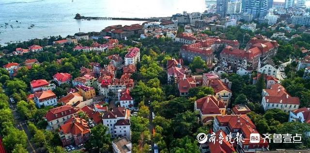 从网红爆款到深度奔赴，青岛激活山海文旅潜能