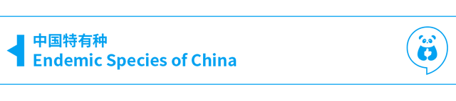 兰州的丹霞山绿了，多少人却高兴不起来