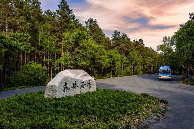 安全游园 文明游园 畅享生态之美