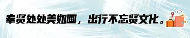 奉贤庄行老街+郊野公园，带爸妈重温江南旧梦