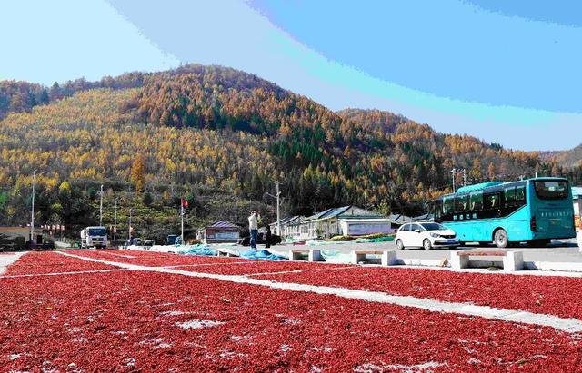 省媒看白山 | 吉林日报：走走停停，G331一路美景一路歌