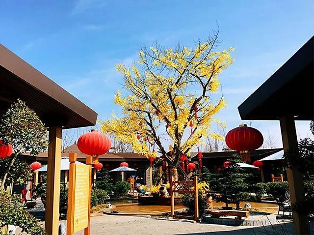中秋遇国庆，郯城各大景区活动清单抢先看！
