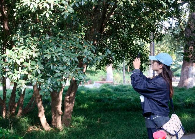 这声“对不起”，泰州人等了半个月！