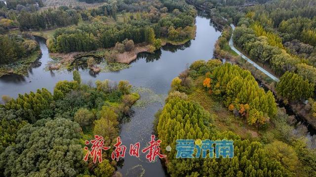 一年四季 泉在济南丨济西湿地公园，秋日绘就斑斓画卷