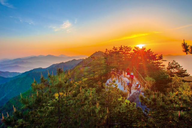 秋天来罗田,好“柿”正发生!