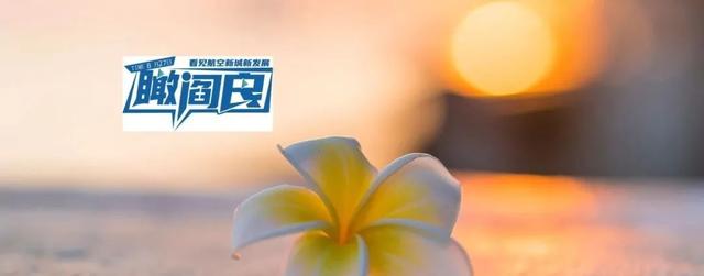 瞰·阎良——区城管局开展违停专项整治