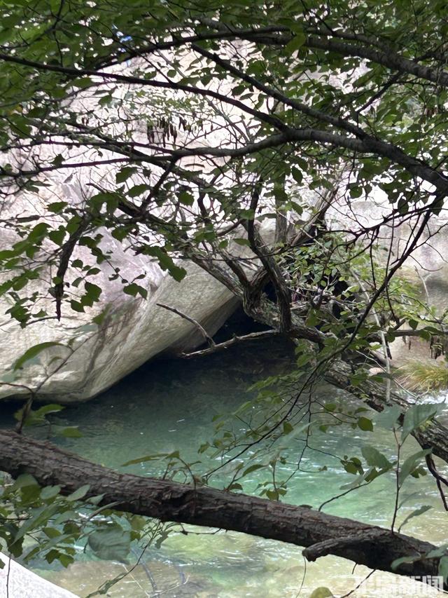 雨后北九水