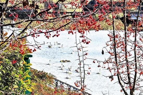 光影中的三门峡（557）