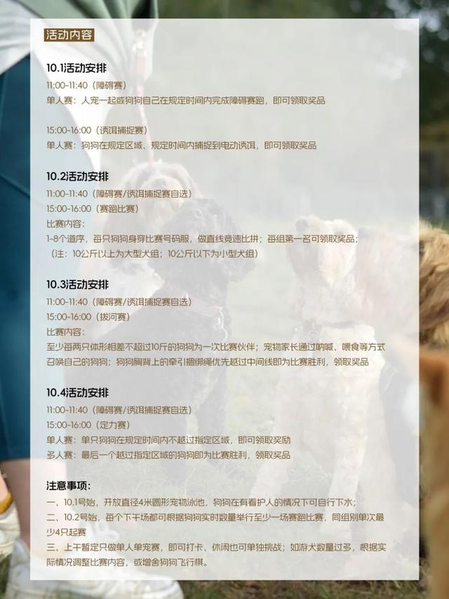 南法乡野秋日市集即将启幕