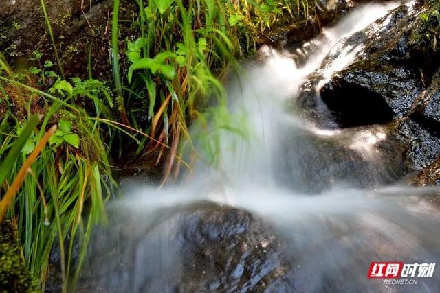 第二批“世界旅游名山”名单公布，湖南雪峰山入选！