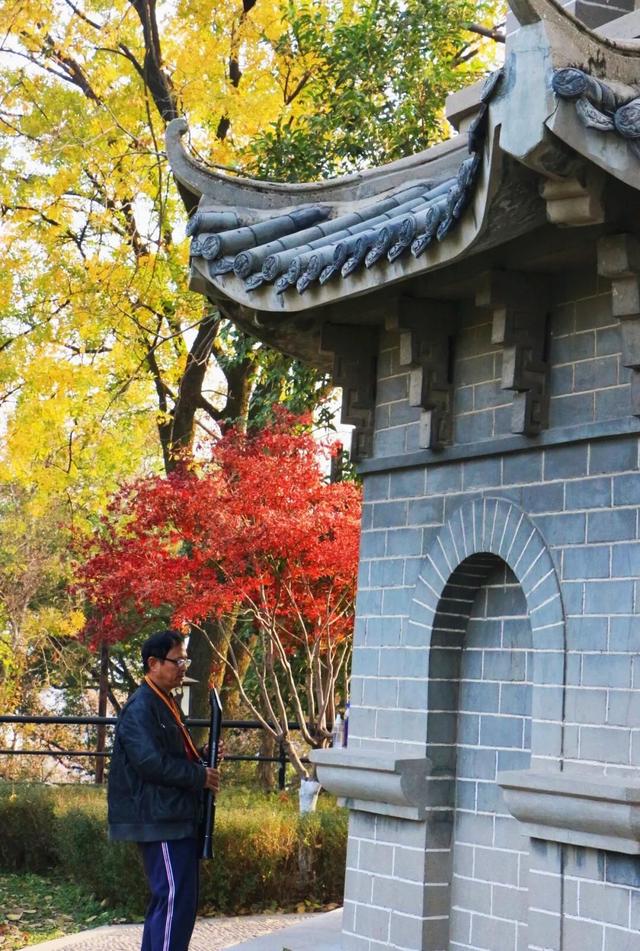 武昌赏秋天花板！这条被推荐100次的山路，迎来最美时刻