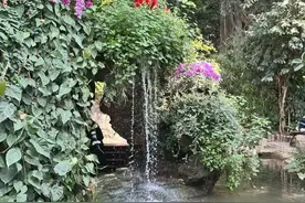 友好城市推荐|秋高气爽，郑州这些公园含氧量十足！图片