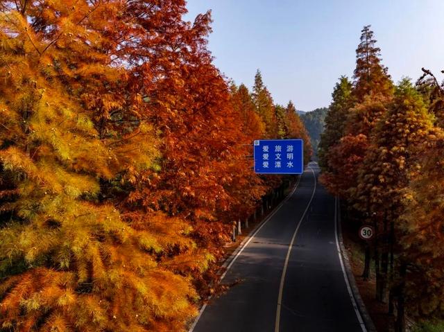 溧水秋天，有点好“骑”~