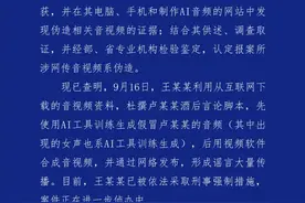 合肥警方通报三只羊卢某某录音事件：一男子伪造音视频被采取刑事强制措施图片