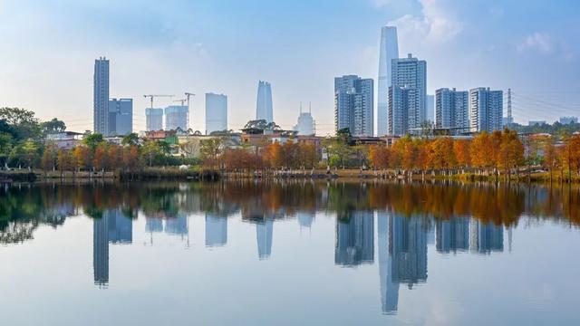 进入观赏期！东莞多处落羽杉，红了！