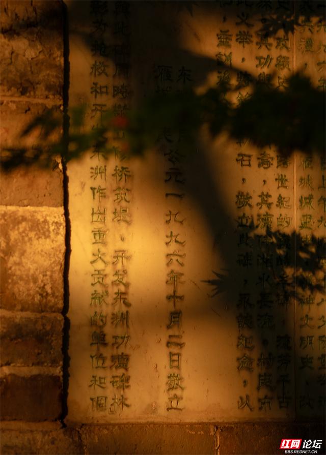 秋游时刻丨青枫伴光影，静待秋意浓