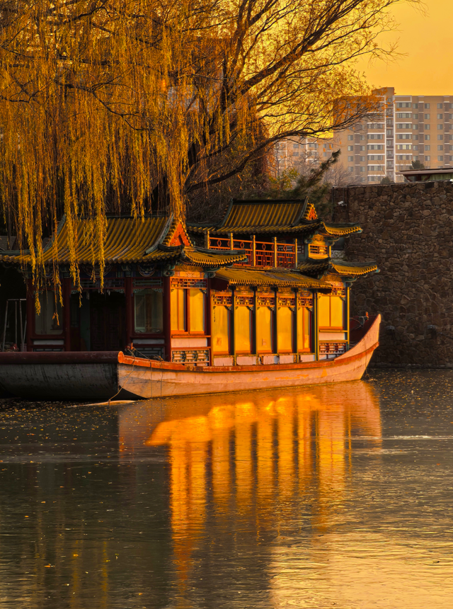 赴一场紫竹院的冬日之约，在夕阳里撞见满院温柔