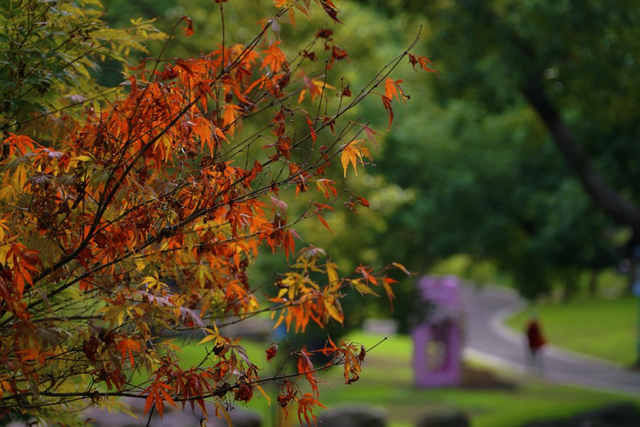 从站台到风景→无锡冬日最美交通线