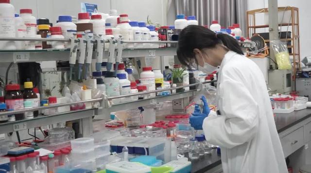 陕西省科学技术奖一等奖
