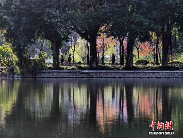福州：色彩斑斓 冬景如画