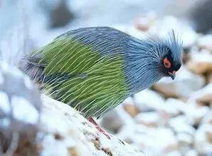 科考旅行｜秘境山南生态考察报名