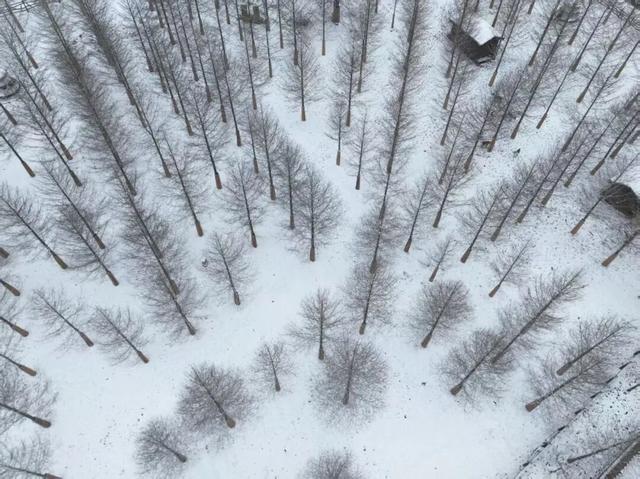 宜兴一下雪，就美成了阳羡！