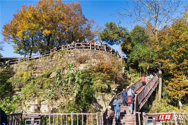 【每日一图@湖南】张家界暖冬限定！天子山暖阳沐峰林