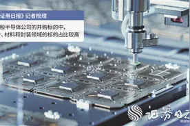 “快鱼吃慢鱼”助力半导体行业创新发展图片