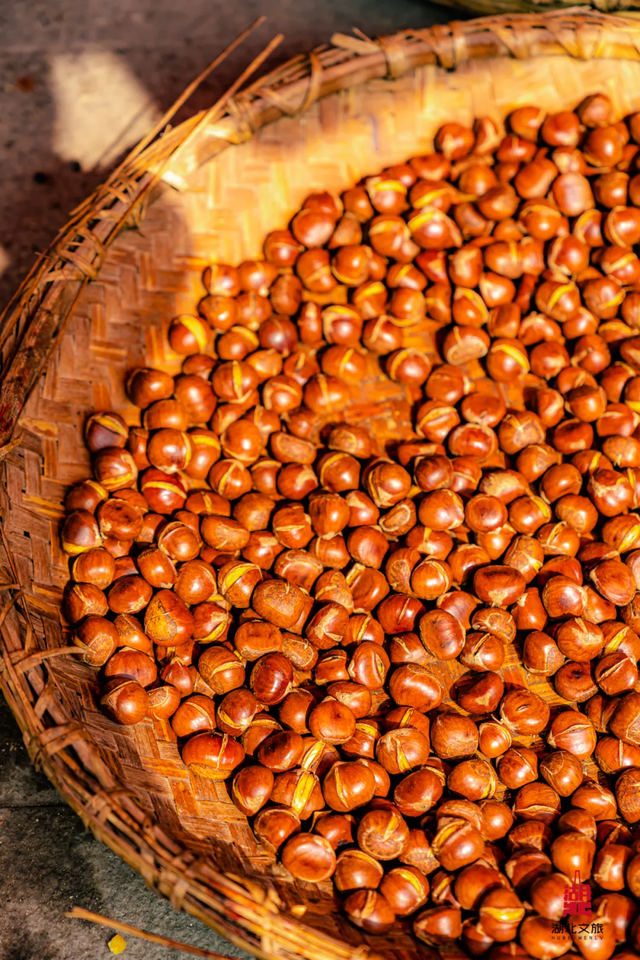 秋天来罗田，好“柿”正发生！