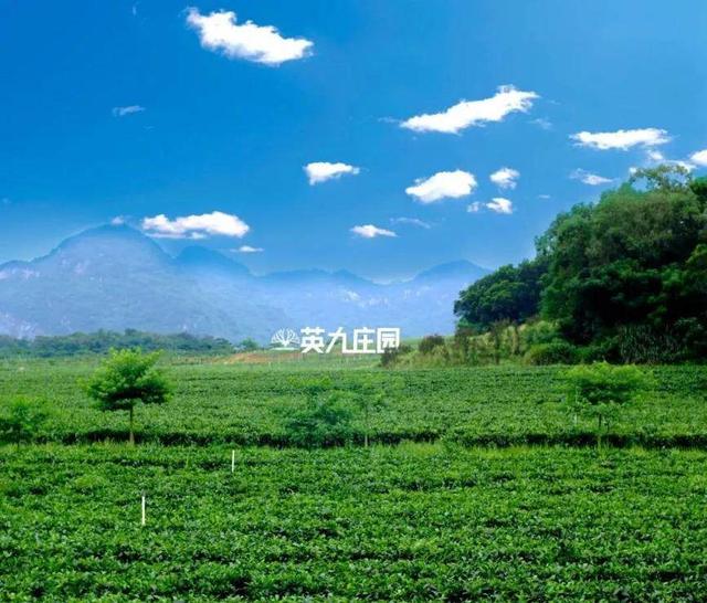 带上装备，国庆来清远打卡这8个户外游玩地→