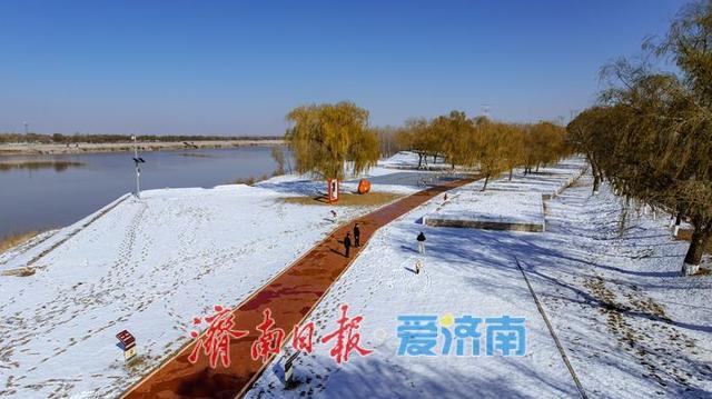 一年四季 泉在济南丨雪润黄河岸，济南冬日生态画卷徐徐铺展