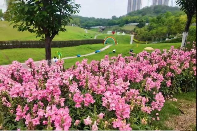 乘轨道交通游重庆丨打卡9号线主要景点