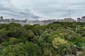 寒潮席卷广西，带来降温降雨+大风！接下来气温还要降！图片
