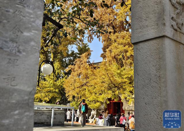 北京：五塔寺秋色浓