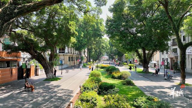 广州荔湾：魅力西关鹅潭新韵，“荔湾胜境”启文旅新章